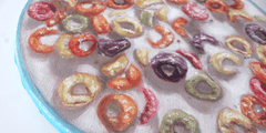 Haley Marfleet, Froot Loops - Original Painting